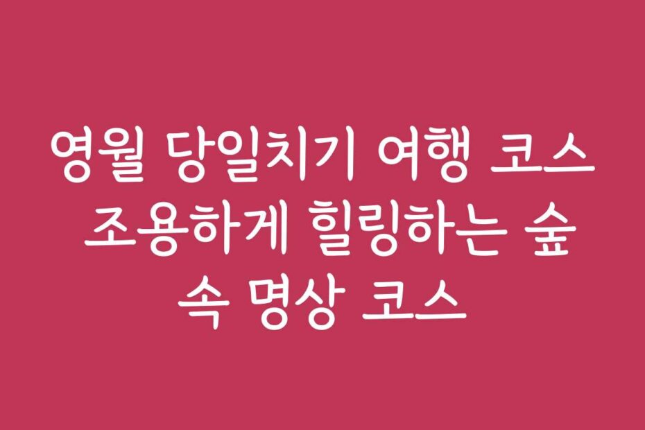 영월 당일치기 여행 코스 조용하게 힐링하는 숲속 명상 코스