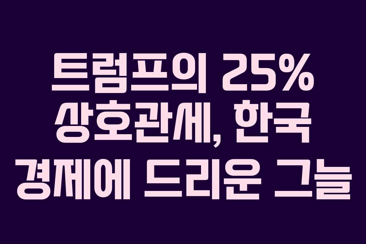 트럼프의 25% 상호관세, 한국 경제에 드리운 그늘