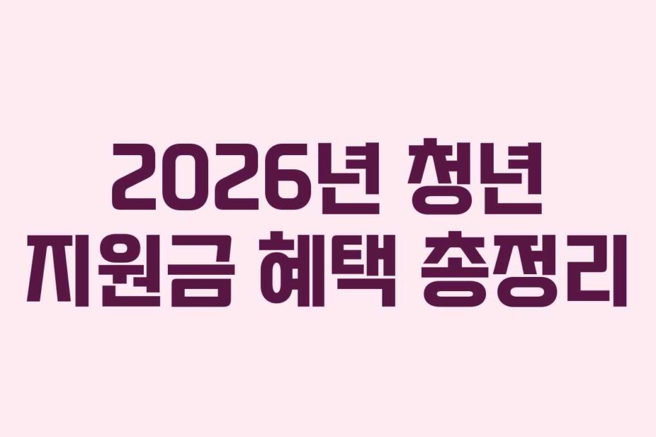 2026년 청년 지원금 혜택 총정리