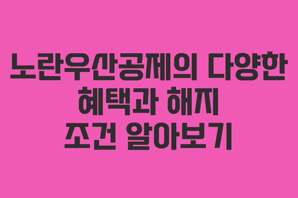 노란우산공제의 다양한 혜택과 해지 조건 알아보기
