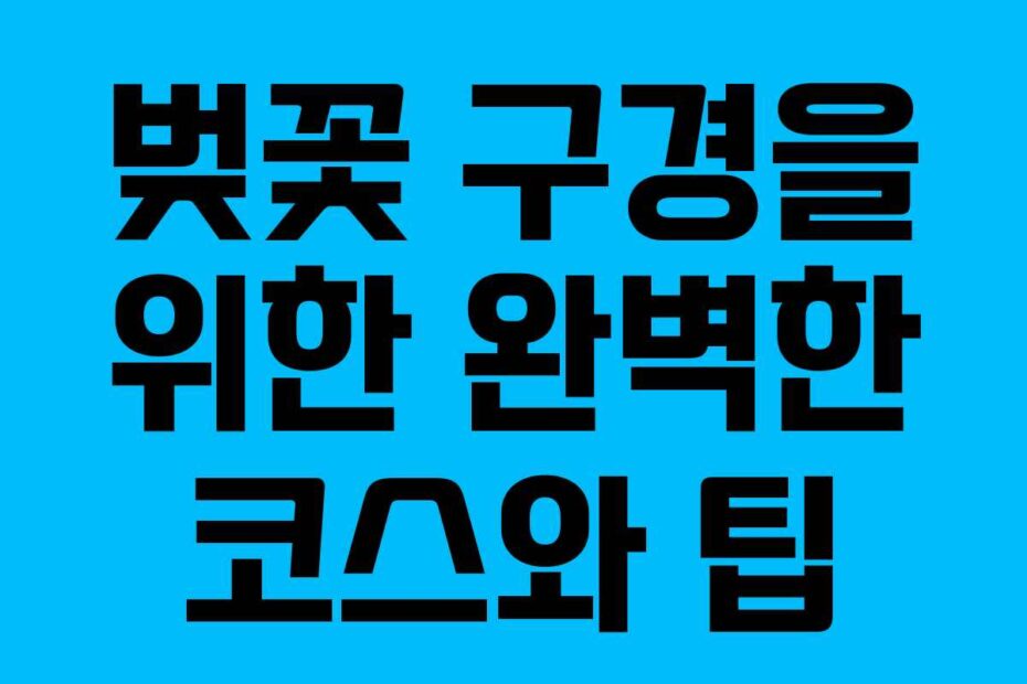 벚꽃 구경을 위한 완벽한 코스와 팁