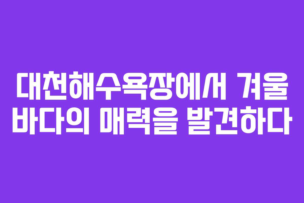 대천해수욕장에서 겨울 바다의 매력을 발견하다