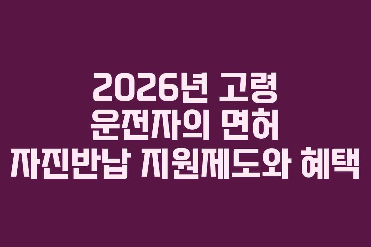 2026년 고령 운전자의 면허 자진반납 지원제도와 혜택