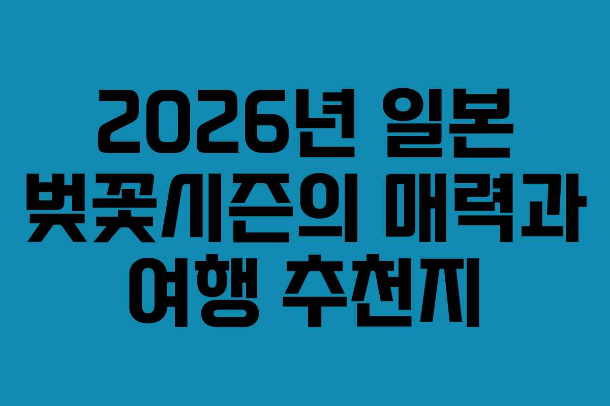 2026년 일본 벚꽃시즌의 매력과 여행 추천지