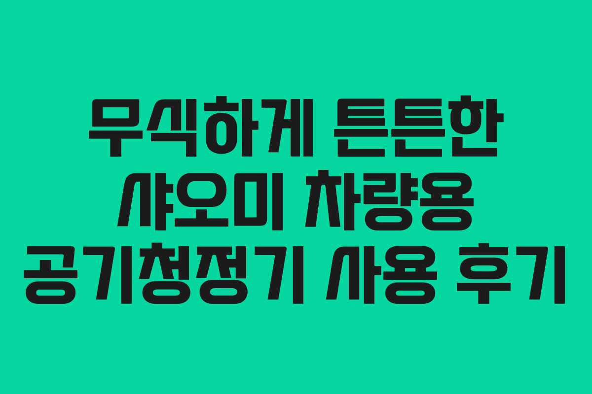 무식하게 튼튼한 샤오미 차량용 공기청정기 사용 후기