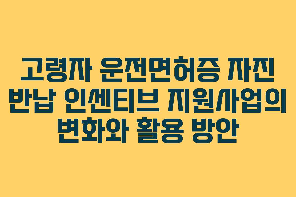 고령자 운전면허증 자진 반납 인센티브 지원사업의 변화와 활용 방안
