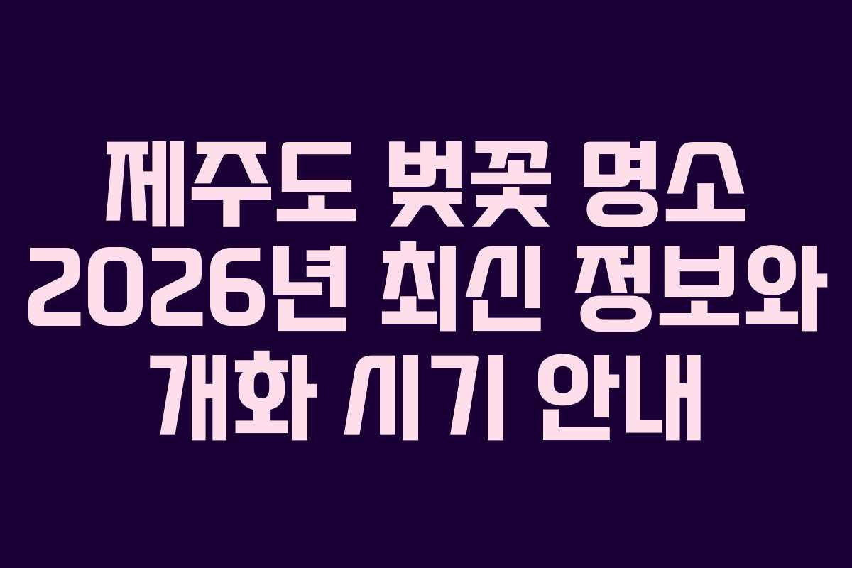 제주도 벚꽃 명소 2026년 최신 정보와 개화 시기 안내