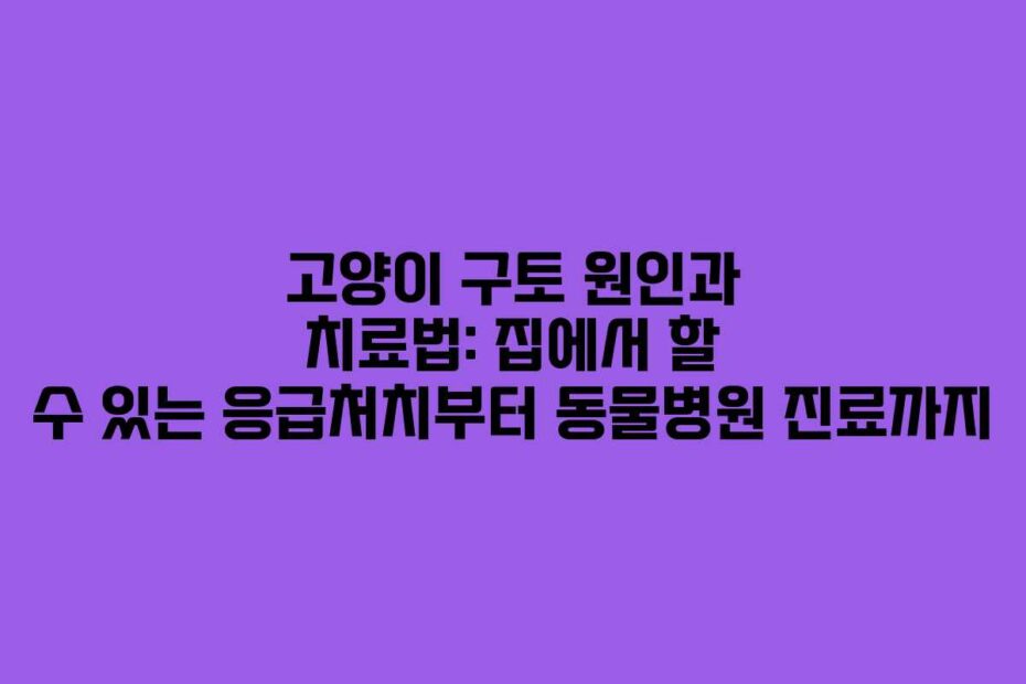 고양이 구토 원인과 치료법: 집에서 할 수 있는 응급처치부터 동물병원 진료까지