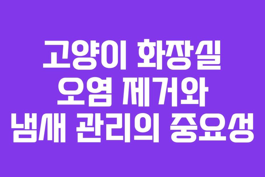 고양이 화장실 오염 제거와 냄새 관리의 중요성