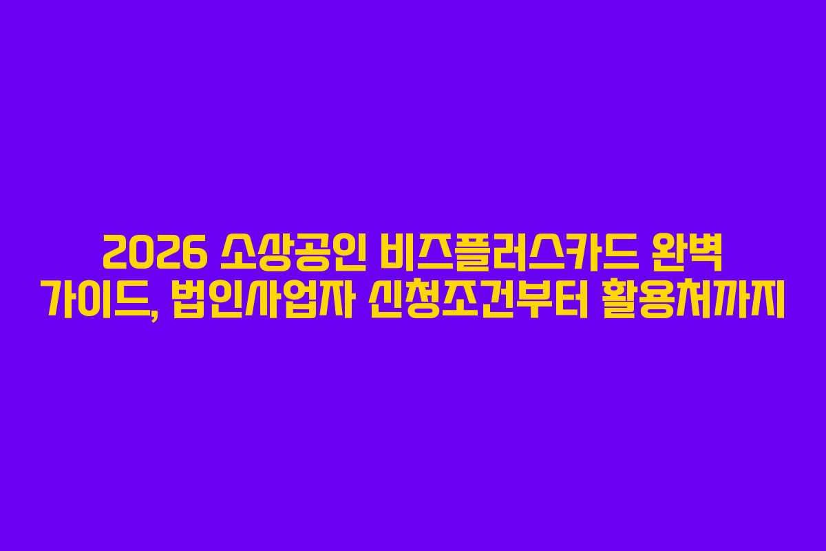 2026 소상공인 비즈플러스카드 완벽 가이드, 법인사업자 신청조건부터 활용처까지
