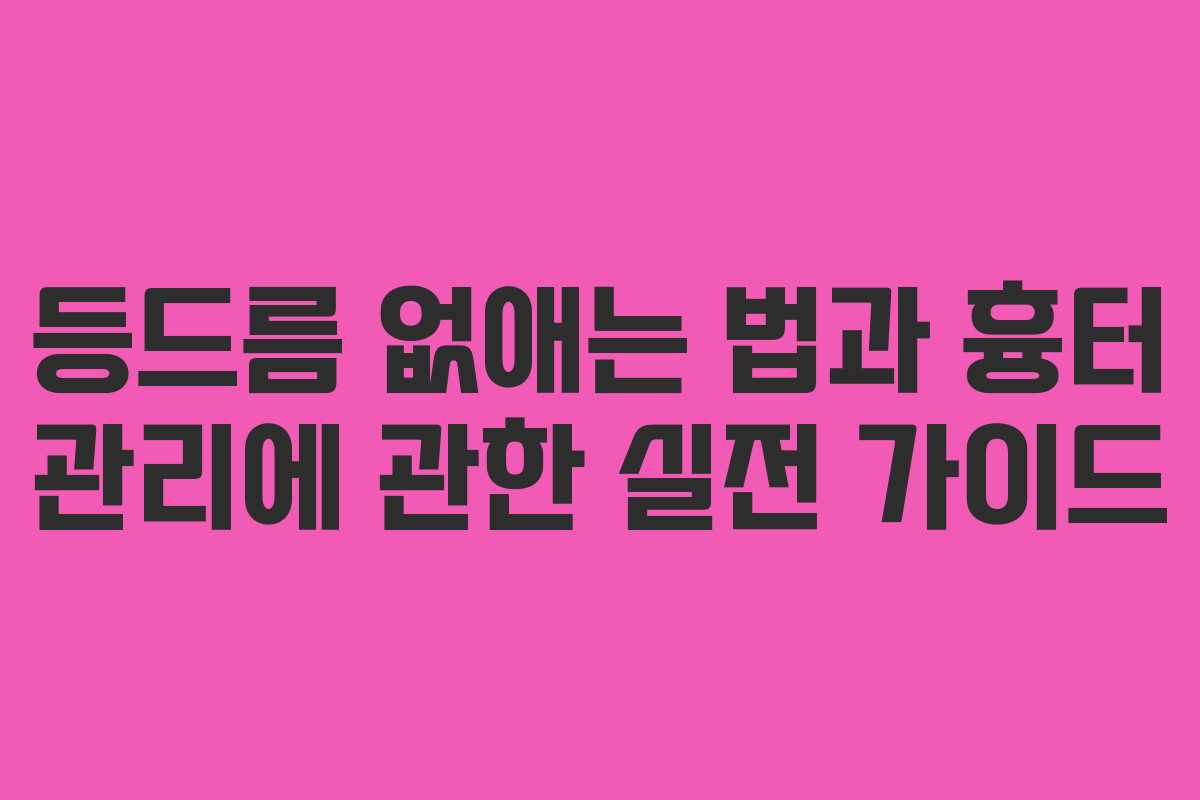 등드름 없애는 법과 흉터 관리에 관한 실전 가이드