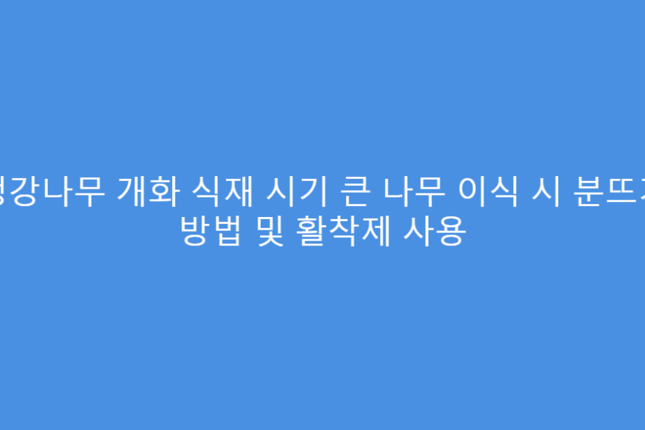 생강나무 개화 식재 시기 큰 나무 이식 시 분뜨기 방법 및 활착제 사용