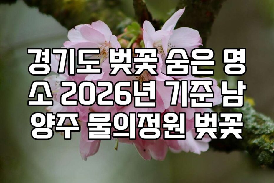 경기도 벚꽃 숨은 명소 2026년 기준 남양주 물의정원 벚꽃