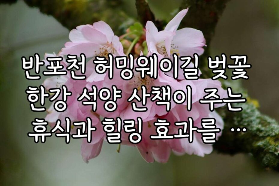 반포천 허밍웨이길 벚꽃 한강 석양 산책이 주는 휴식과 힐링 효과를 극대화하는 방법은 무엇일까