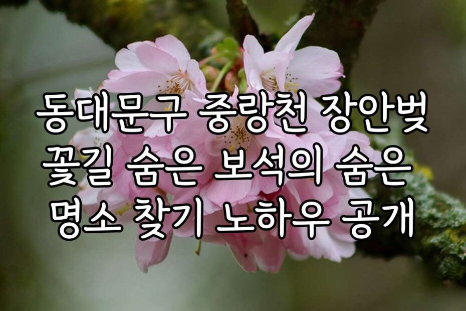 동대문구 중랑천 장안벚꽃길 숨은 보석의 숨은 명소 찾기 노하우 공개