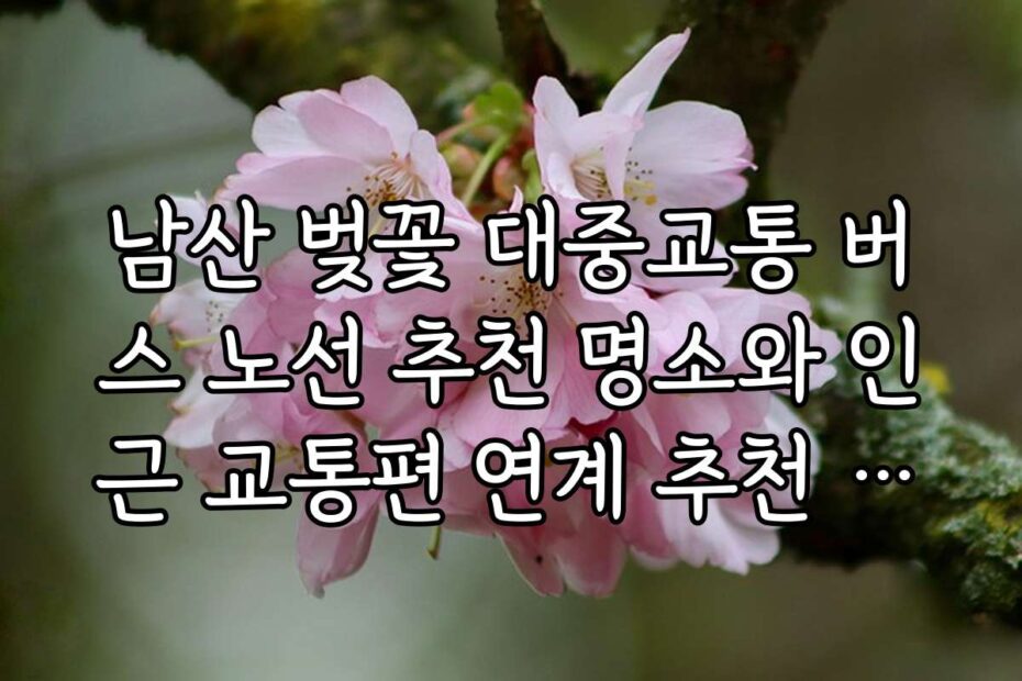 남산 벚꽃 대중교통 버스 노선 추천 명소와 인근 교통편 연계 추천 노선 소개