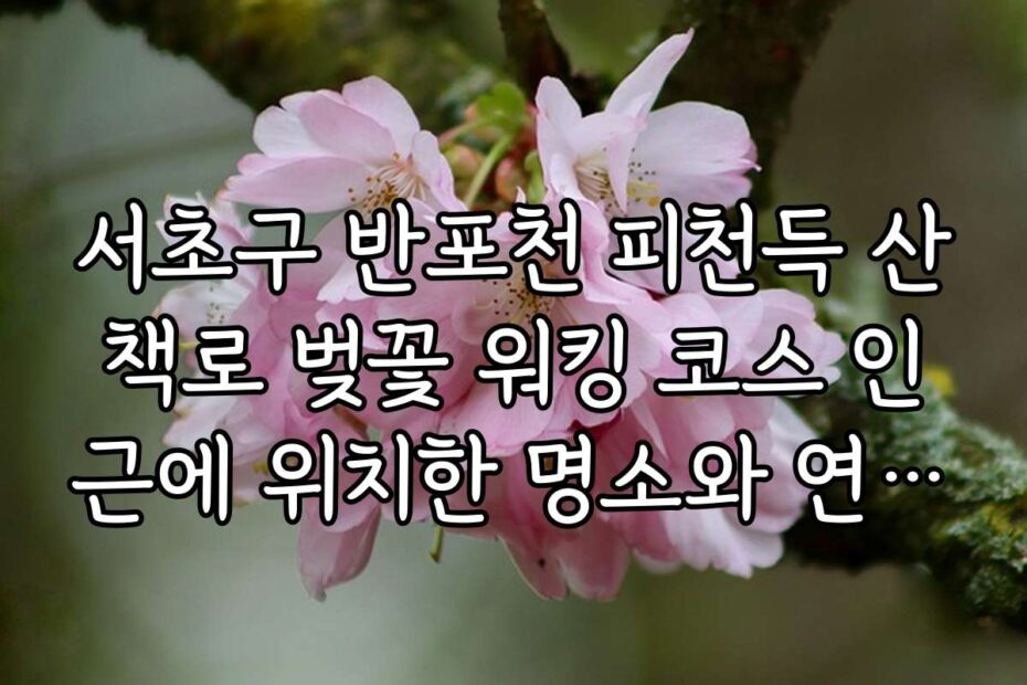 서초구 반포천 피천득 산책로 벚꽃 워킹 코스 인근에 위치한 명소와 연계 관광 코스 추천
