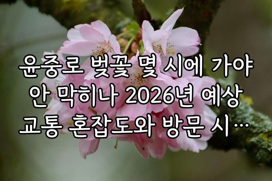 윤중로 벚꽃 몇 시에 가야 안 막히나 2026년 예상 교통 혼잡도와 방문 시기 추천