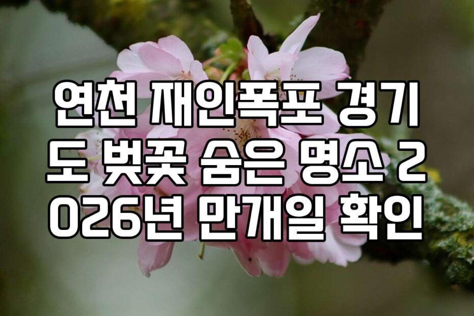 연천 재인폭포 경기도 벚꽃 숨은 명소 2026년 만개일 확인