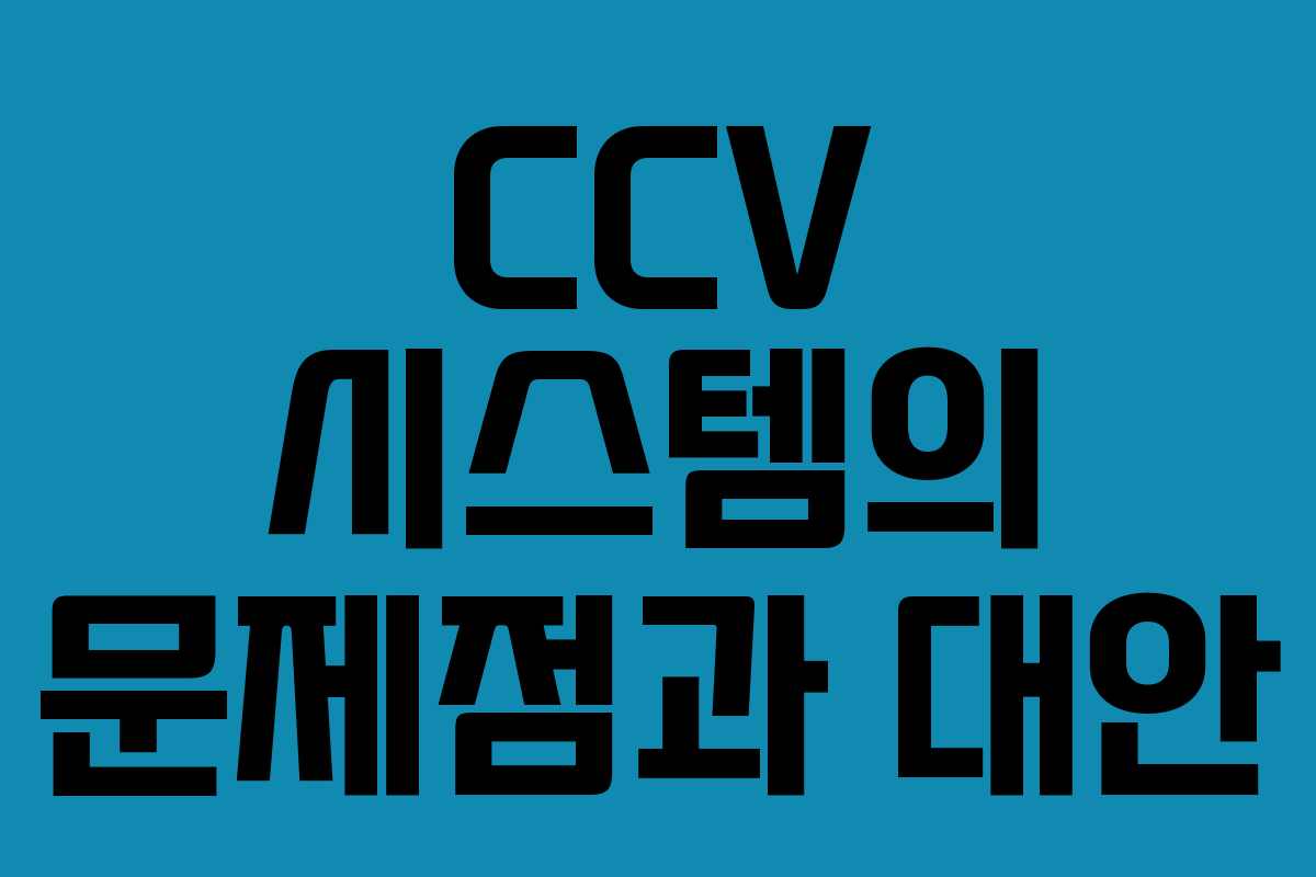 CCV 시스템의 문제점과 대안