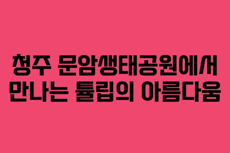 청주 문암생태공원에서 만나는 튤립의 아름다움