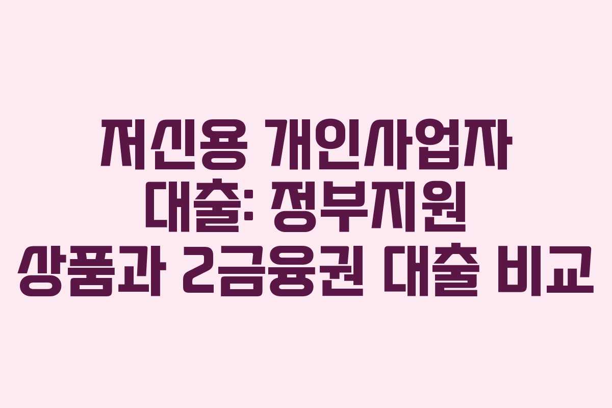저신용 개인사업자 대출: 정부지원 상품과 2금융권 대출 비교