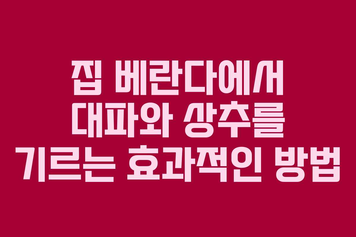집 베란다에서 대파와 상추를 기르는 효과적인 방법
