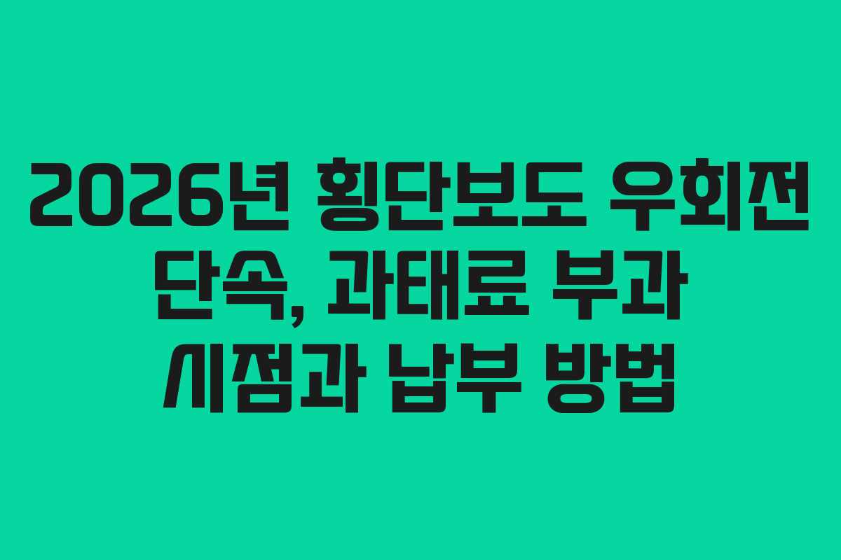 2026년-횡단보도-우회전-단속,-과태료-부과-시점과-납부-방법