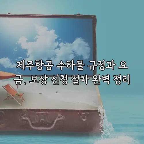 제주항공 수하물 규정과 요금, 보상 신청 절차 완벽 정리