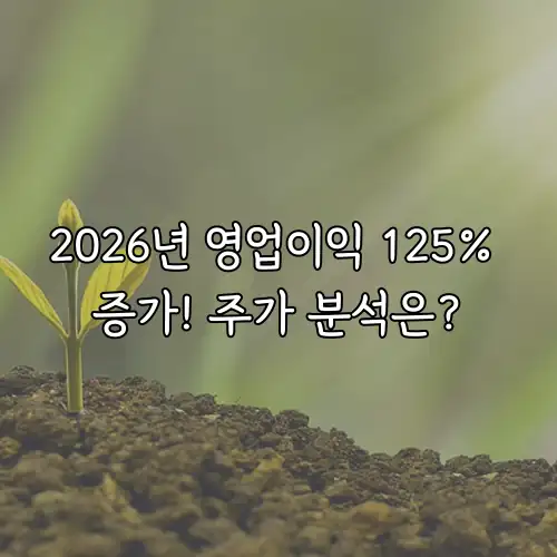 2026년 영업이익 125% 증가! 주가 분석은?