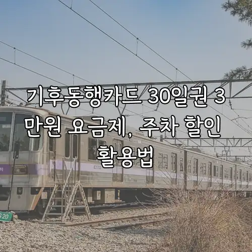 기후동행카드 30일권 3만원 요금제, 주차 할인 활용법