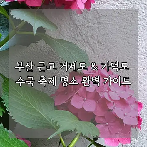 부산 근교 거제도 & 가덕도 수국 축제 명소 완벽 가이드