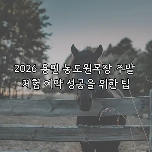2026 용인 농도원목장 주말 체험 예약 성공을 위한 팁
