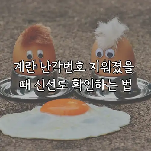 계란 난각번호 지워졌을 때 신선도 확인하는 법