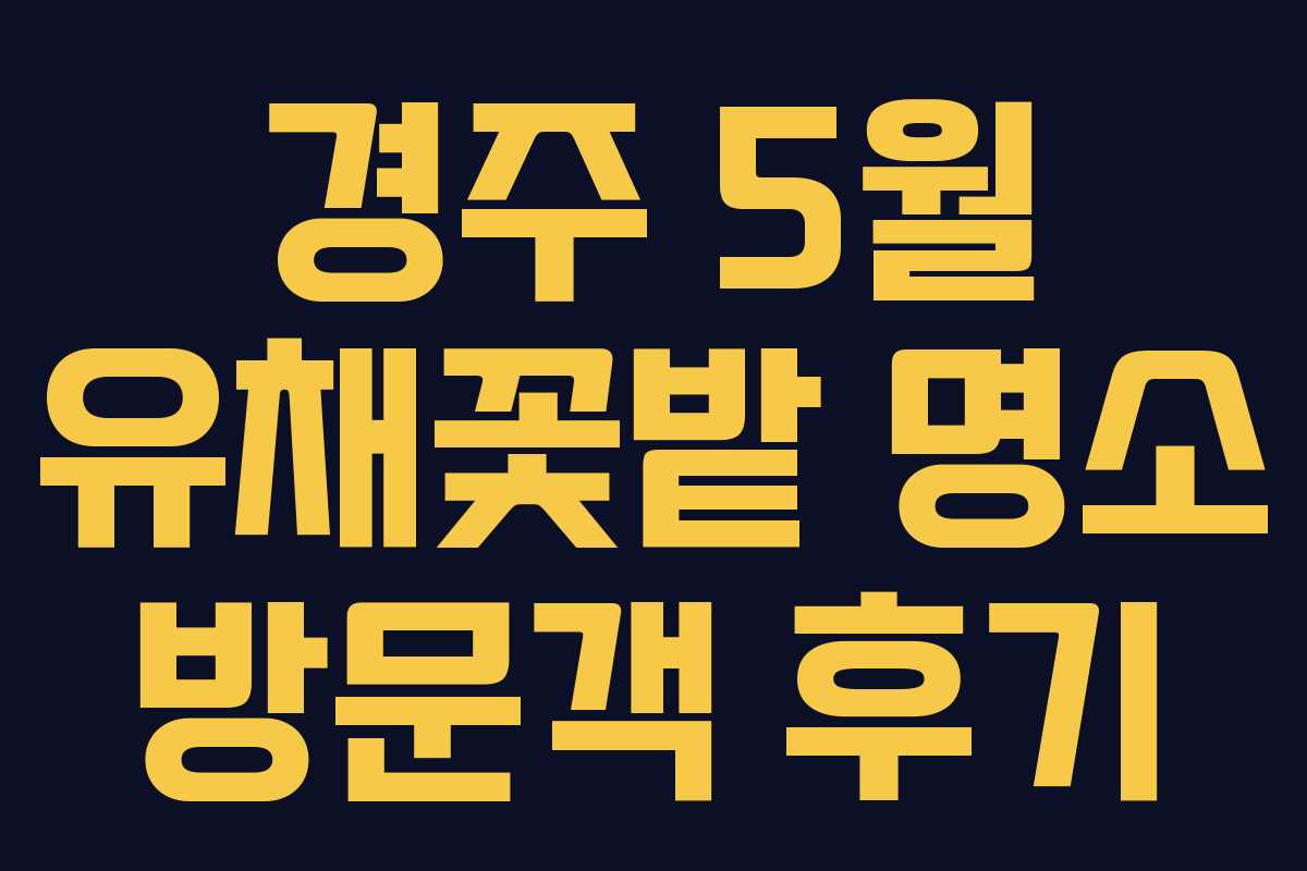 경주-5월-유채꽃밭-명소-방문객-후기