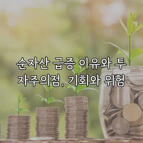 순자산 급증 이유와 투자주의점, 기회와 위험