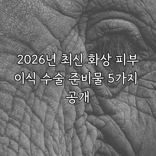 2026년 최신 화상 피부이식 수술 준비물 5가지 공개