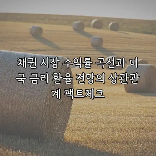 채권 시장 수익률 곡선과 미국 금리 환율 전망의 상관관계 팩트체크
