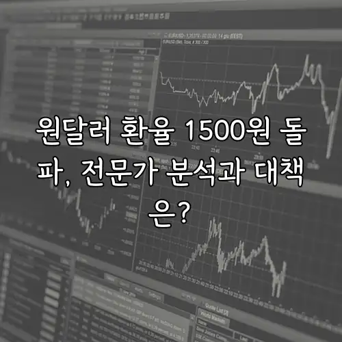 원달러 환율 1500원 돌파, 전문가 분석과 대책은?