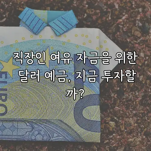 직장인 여유 자금을 위한 달러 예금, 지금 투자할까?