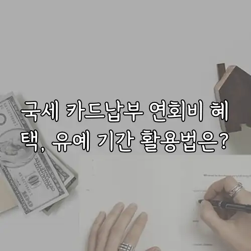 국세 카드납부 연회비 혜택, 유예 기간 활용법은?