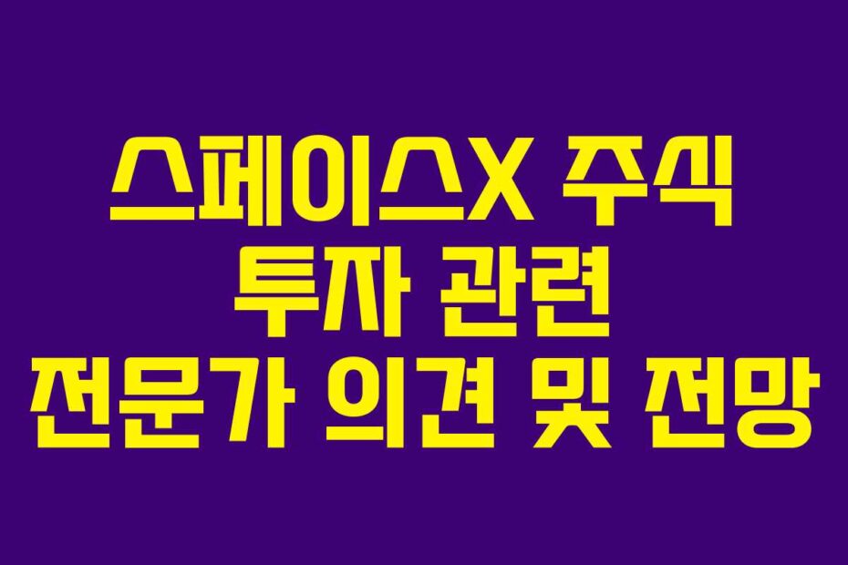 스페이스X-주식-투자-관련-전문가-의견-및-전망