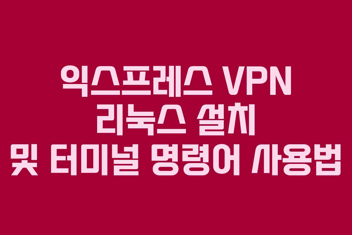 익스프레스 VPN 리눅스 설치 및 터미널 명령어 사용법