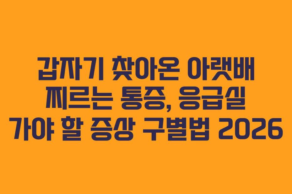 갑자기-찾아온-아랫배-찌르는-통증,-응급실-가야-할-증상-구별법-2026