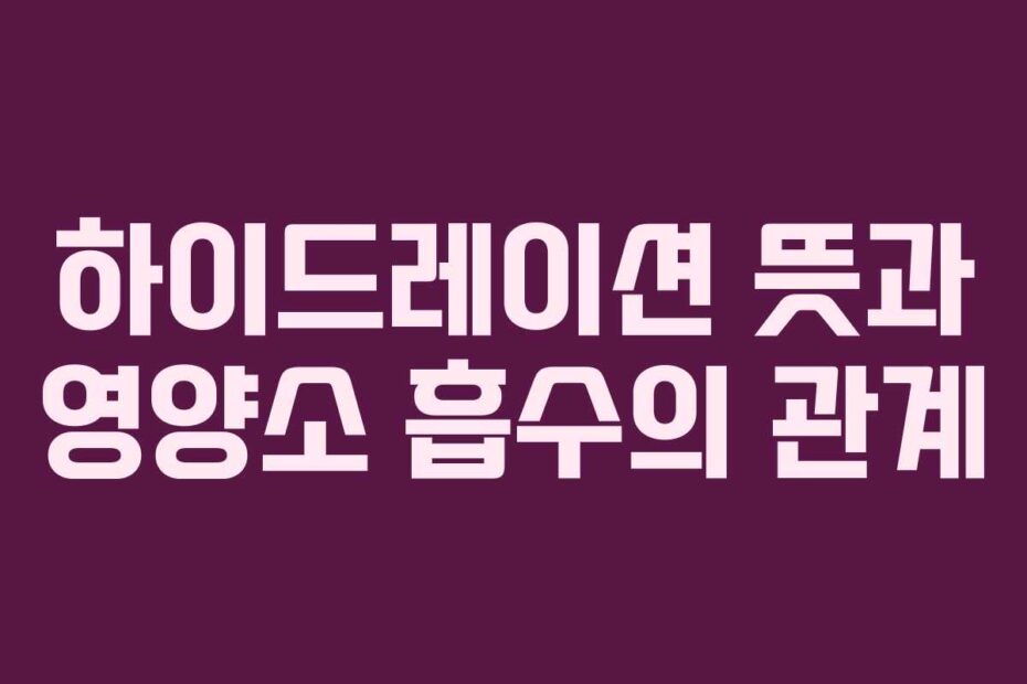 하이드레이션-뜻과-영양소-흡수의-관계