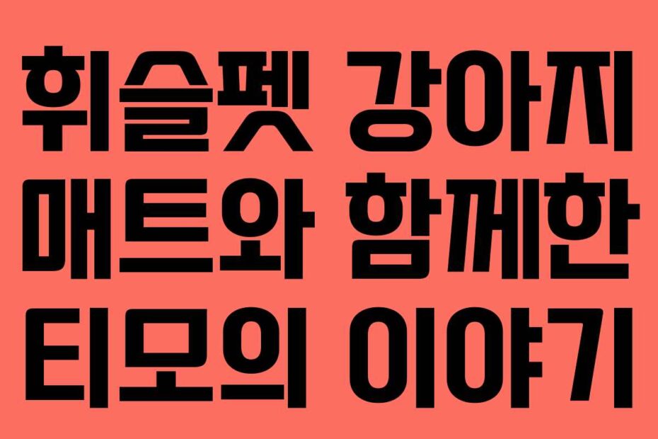 휘슬펫-강아지-매트와-함께한-티모의-이야기