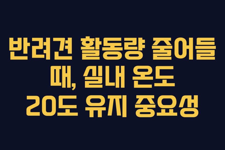 반려견-활동량-줄어들-때,-실내-온도-20도-유지-중요성